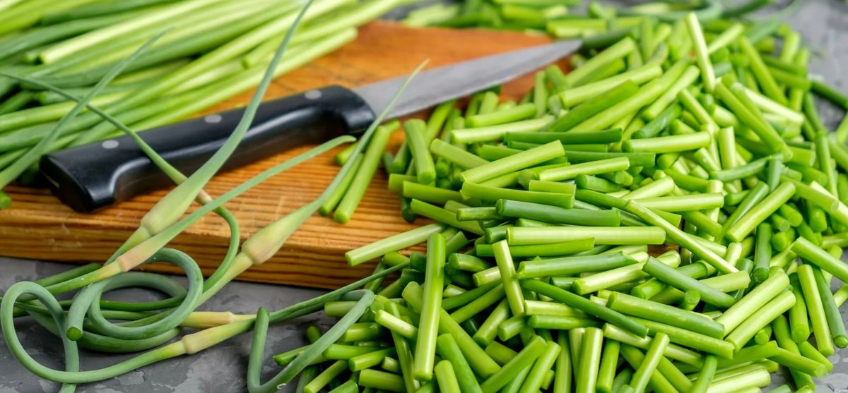 ��������� �������: 6 ����������� �������� �� ������������� �� �����