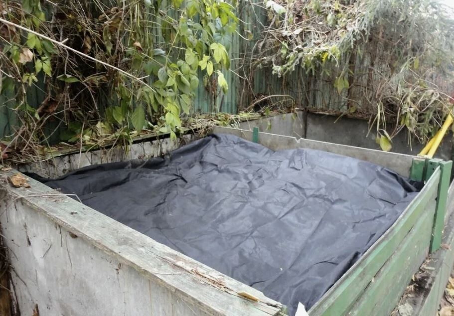 ��� ��������� ������� ������ �����: ������ ��� ���������