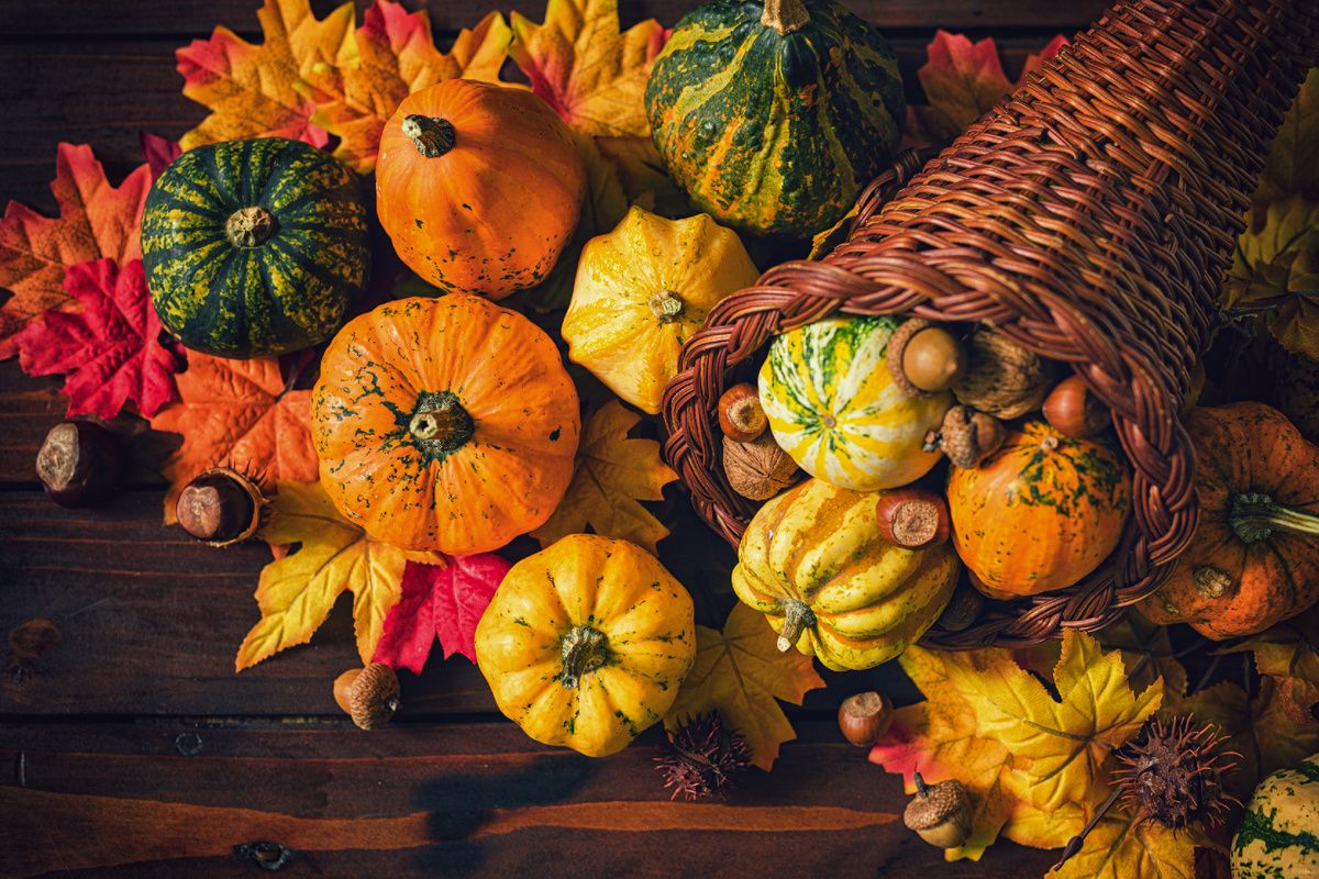 Тыква: незаменимая суперфуд для диабетиков