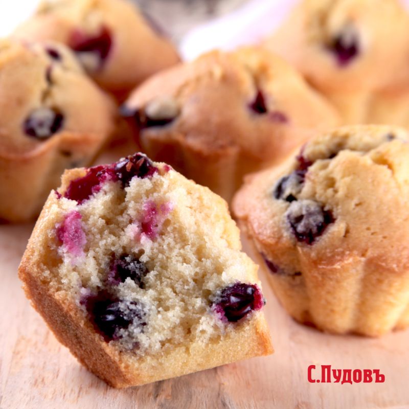 ��� ������ ��������� ��������� ����� ������������� ��������