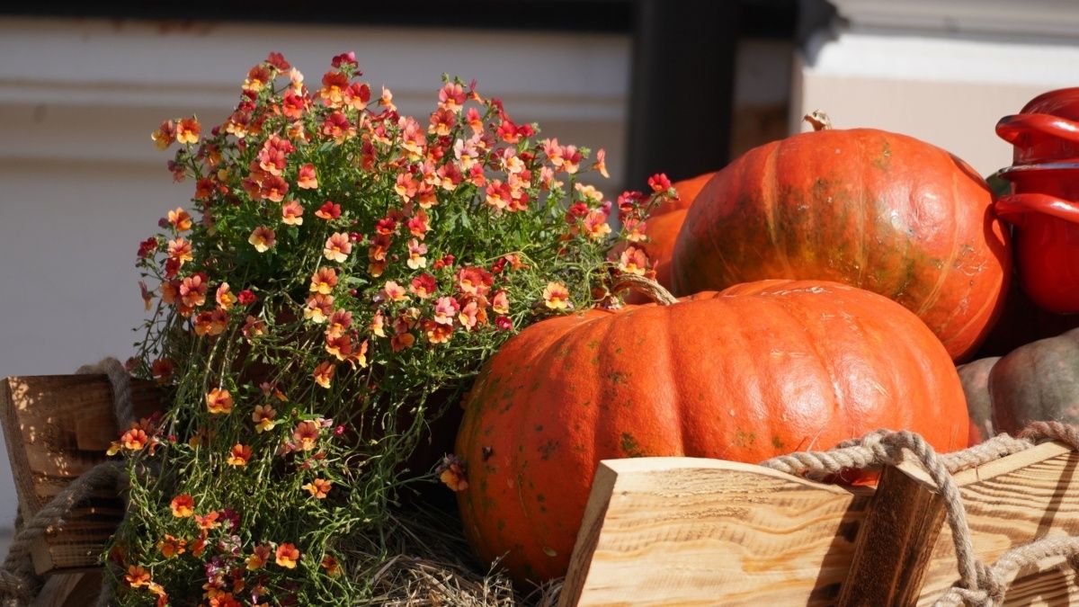 ������� ���������� �� ���������: ������� ����� ��-������