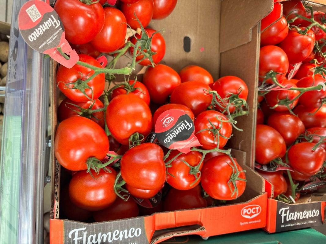 ��� ������� ������� ������ ������: ������� �������� ��������