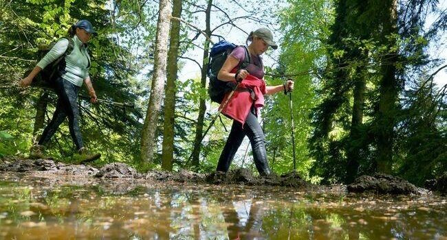 ���������� � ������������� ������: ������ �������� ��� ��������