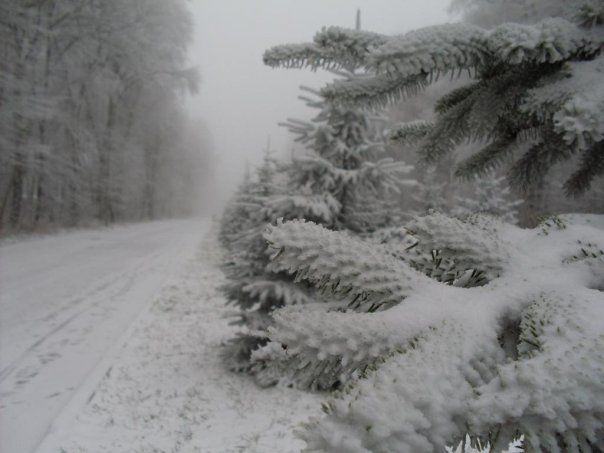 ��� ��������� ������� � ������������� ���������� ����, ����� �� ��������� ��������?