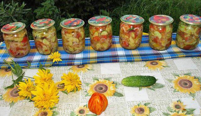 ����� �� �������: ��� ��������� ���� ���������� � ������