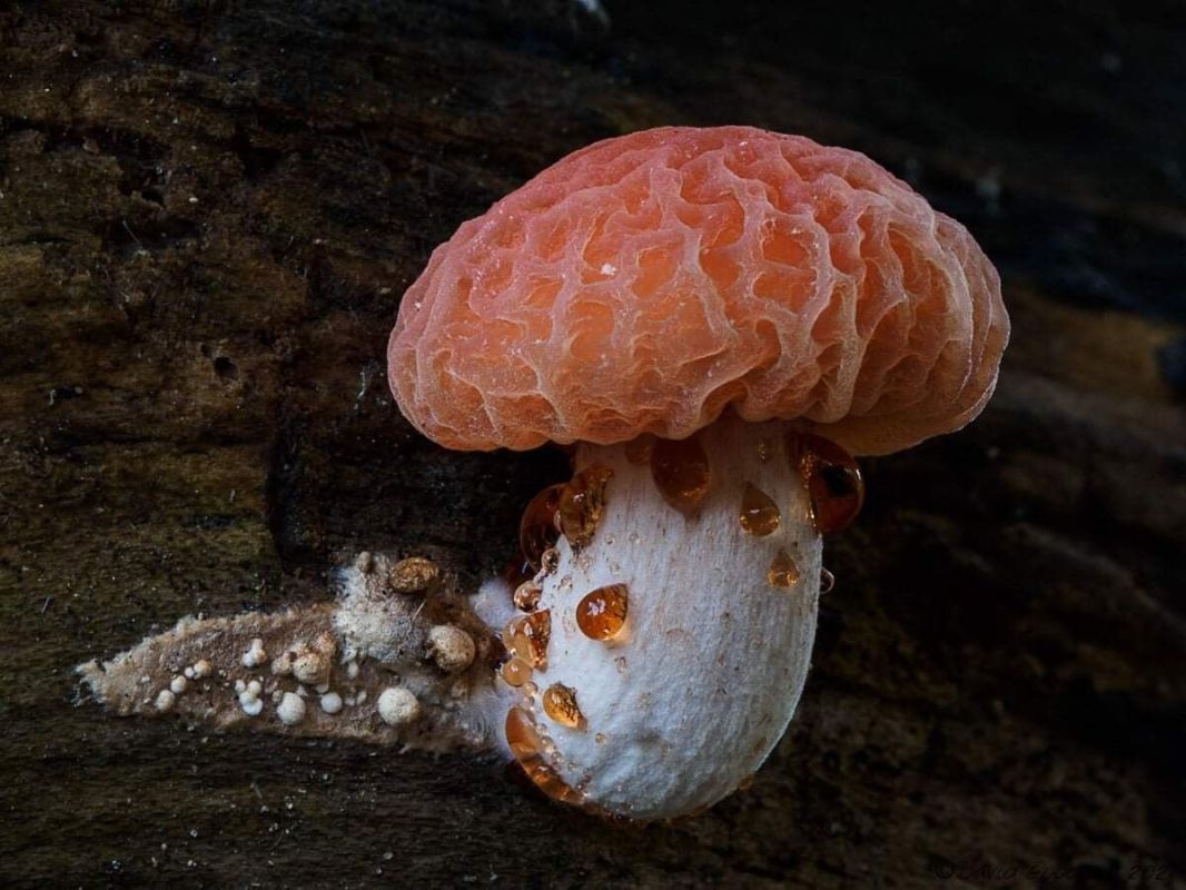 �������: ��� ���� ��������� �� ������ ����� � ���� ������� ������ ������