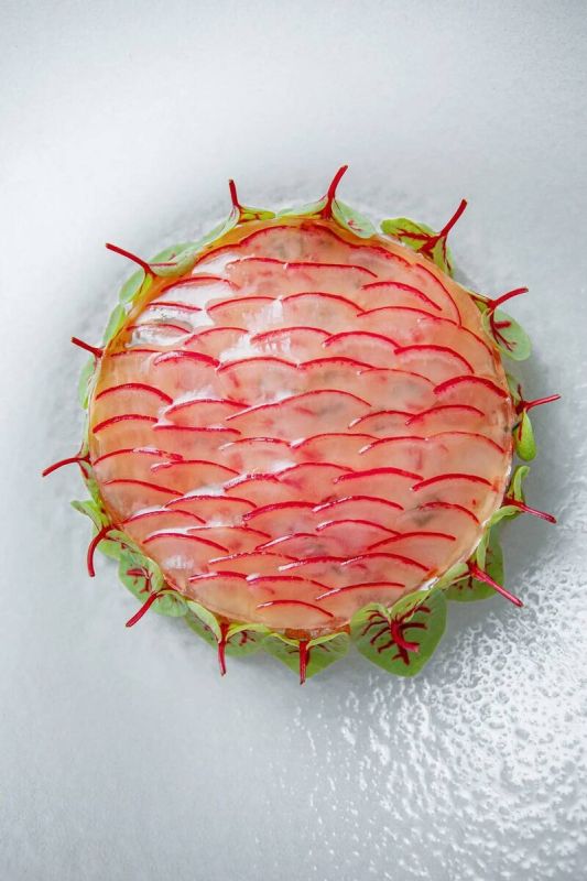 ���������������� ����������� � Twins Garden: �������� ���� � ������ �����