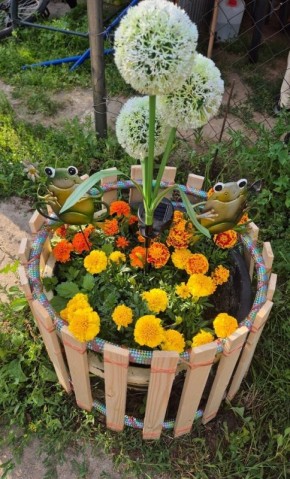 ������������ ���������: ��������� ������� ������� � �������� ����� ��� ������ ����