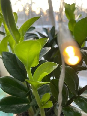 ��� ����� ��� � ����: ��������� ����� ��� ������