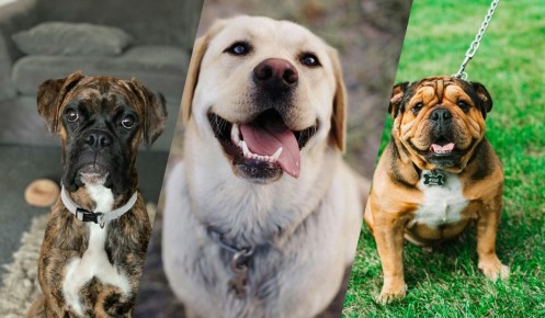 ����� ����������� ������: 13 �����, ������� ��������� ��� �����