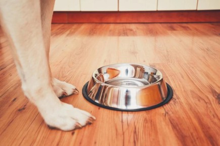 ������� �������� ��� �����: ���� ����� ��������