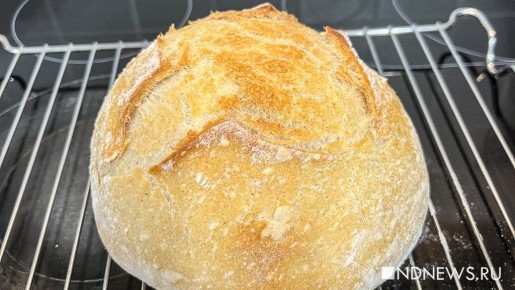 День хлеба: Как отпраздновать его с ароматной домашней выпечкой