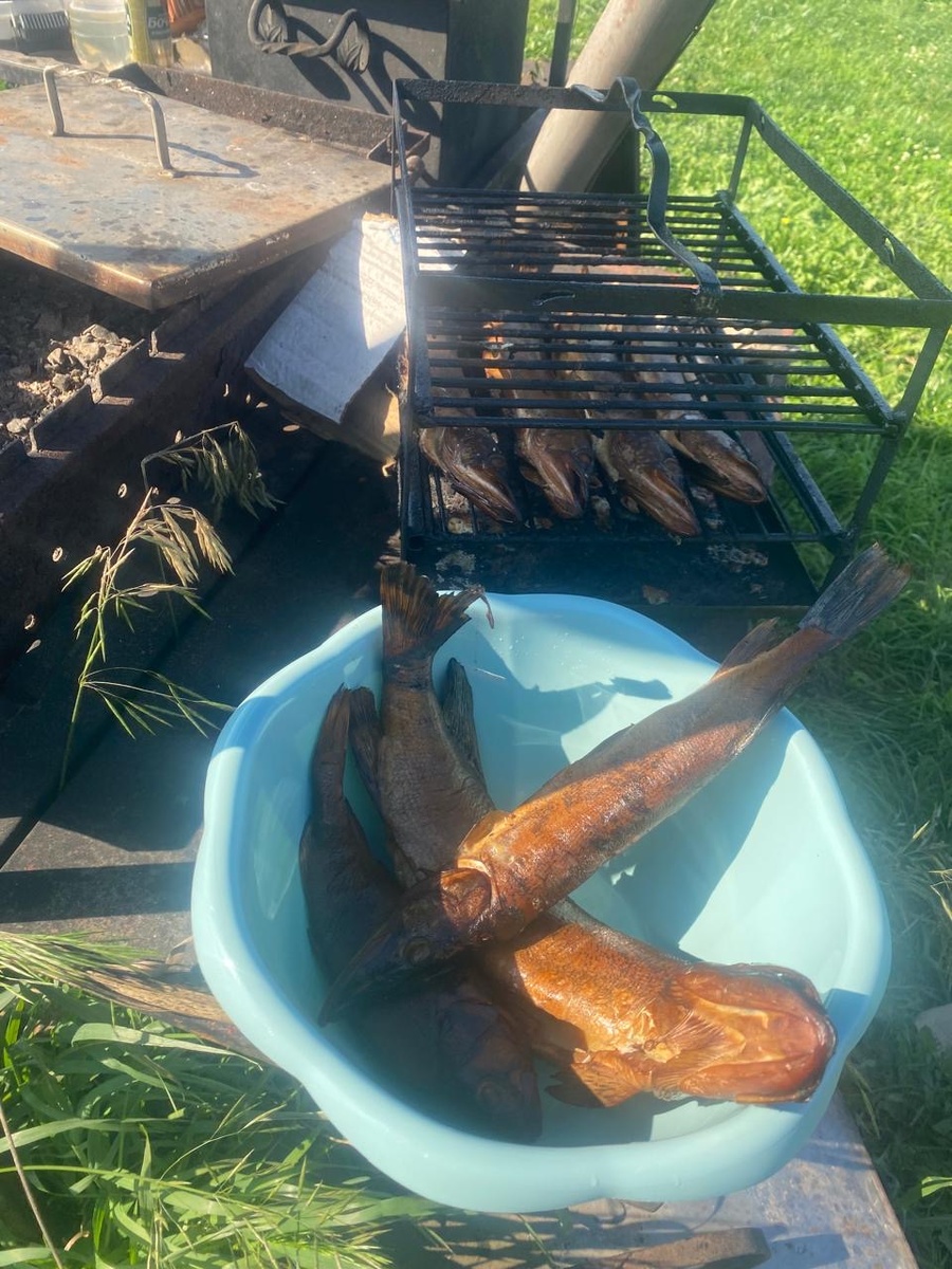 Щука горячего копчения: деликатес из речной хищницы