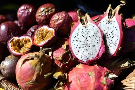 ��������� ��� ������� ������ ����������� ���������� ��������� ������ ��������