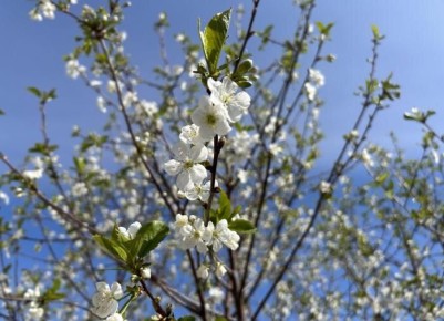 ������ ����� ����� ��� ��������� ������ � ������� ������ ������