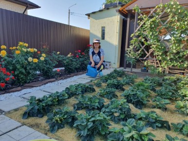 Как правильно ухаживать за клубникой после сбора урожая: советы и рекомендации
