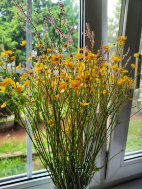 Летнее меню: Как насладиться теплом и свежестью на столе