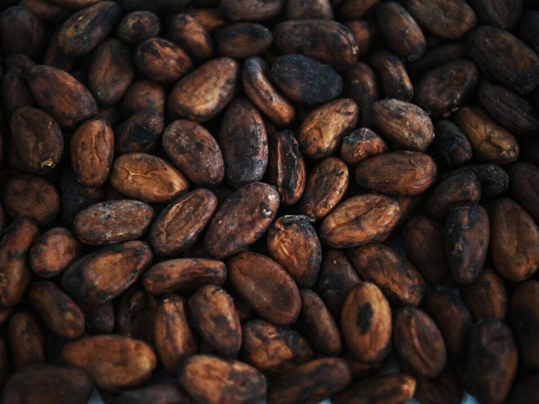 Цены на какао-бобы снова на спаде: ниже 5600 долларов за тонну