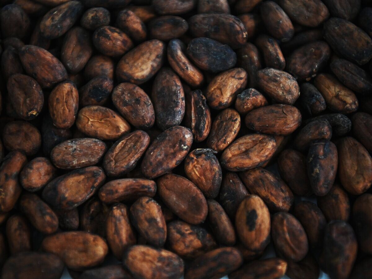 Цены на какао-бобы снова на спаде: ниже 5600 долларов за тонну