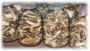 Как правильно хранить сушеные грибы на длительный срок?