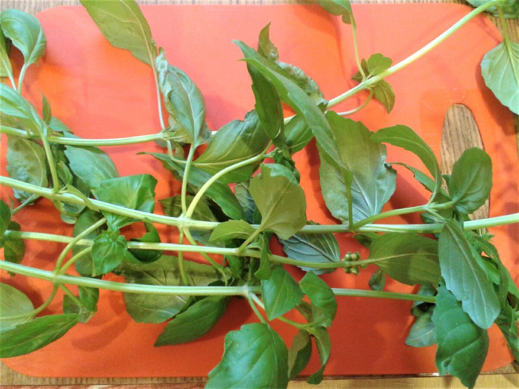 ��������� ��� � �������, �������� ������������� � ������