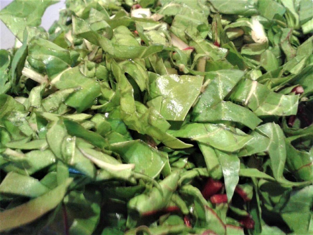 ��� ������ ����������� ����� � ���������� ��� ������� ��������