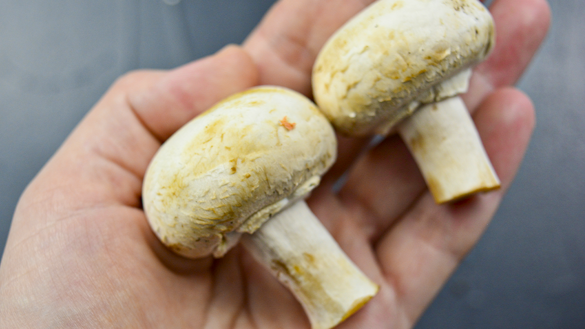 Плов с грибами: простой рецепт для настоящих гурманов