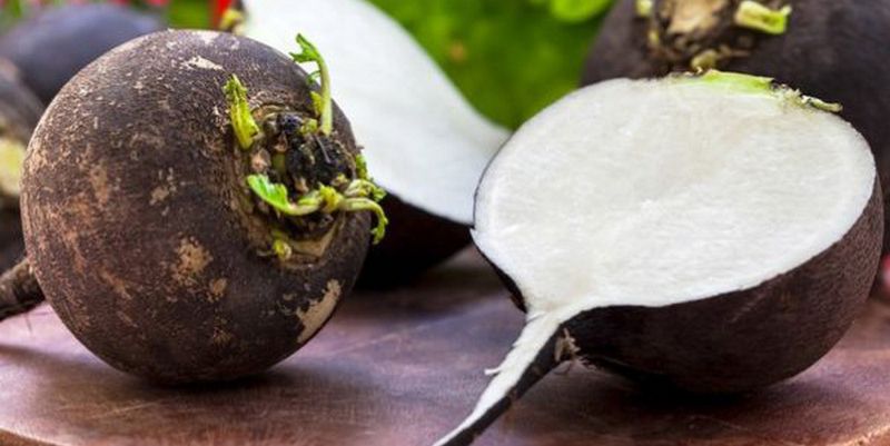 ��������� ������� ������ ������ � ���������� � �����: �������� ����� ����� �����