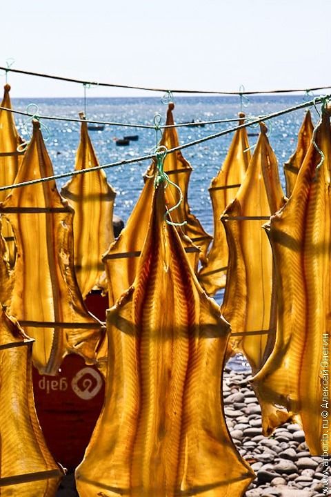 ������ ������: ��� ����� �� ������������� ������� � ����������� �����