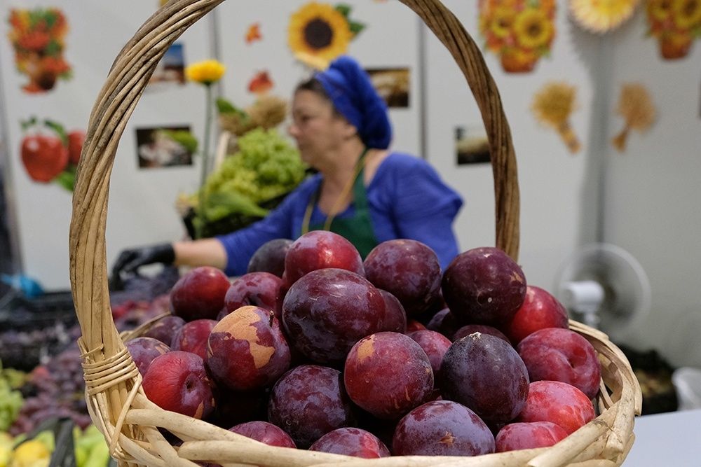 ����������� ������� ��������� �������: ��� ���������� ����������� �� ����