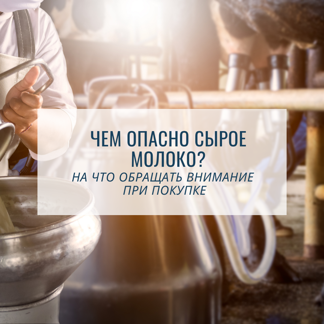 Сырое молоко: потенциальные риски для здоровья