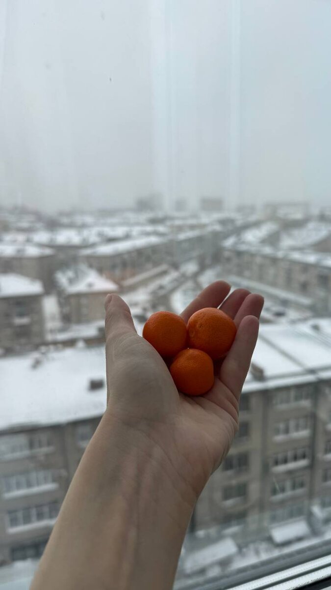 Необычная дегустация: что вкусное скрывает цитрофортунелла?