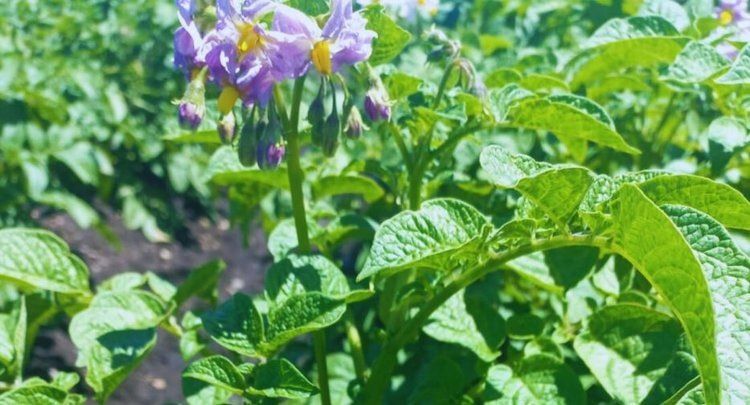 ����� ���� ��������� � ��������� ������ �������� ���������� ������