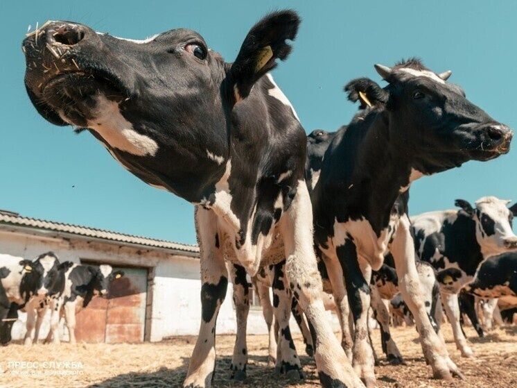 ��������� �������� ��������� ��������: �� �������� �� �������