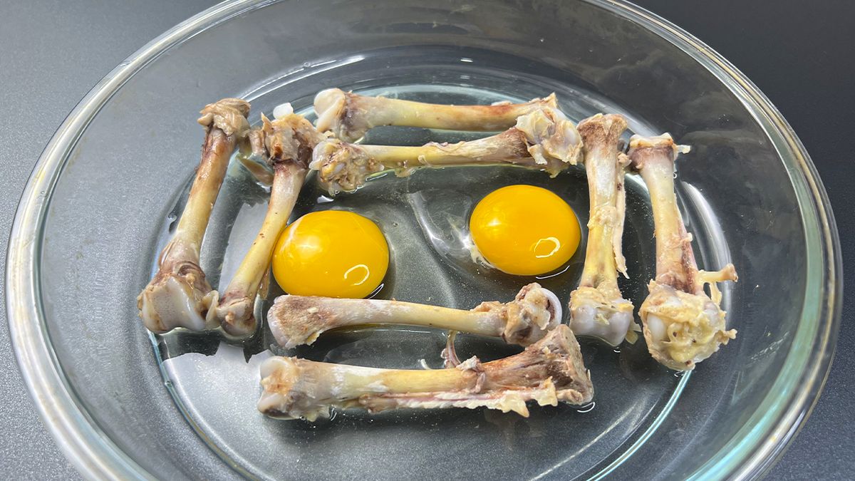 ��� ����������� ������� ������ � �������������� �������