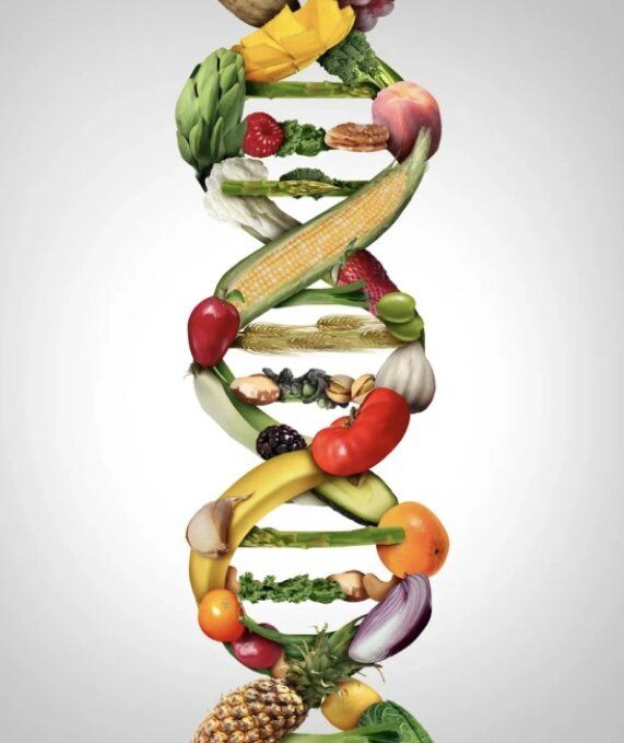 Персонализированное питание: Как генетика и микробиом формируют индивидуальные диеты будущего