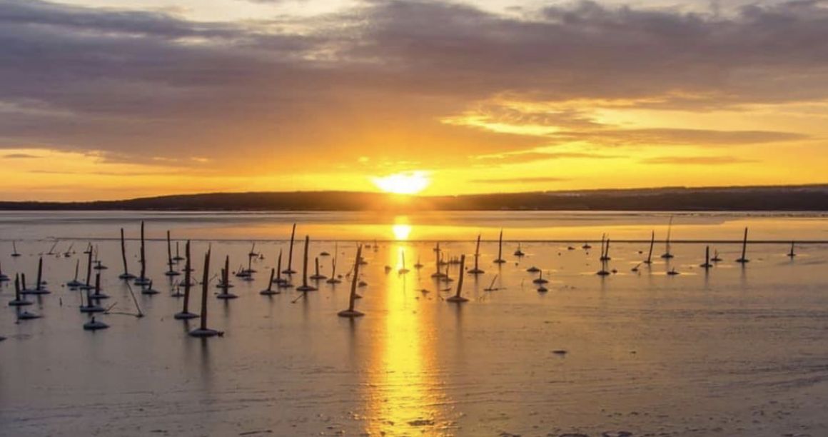 �������� ����� ������������� �����: ������� �������� � ���������