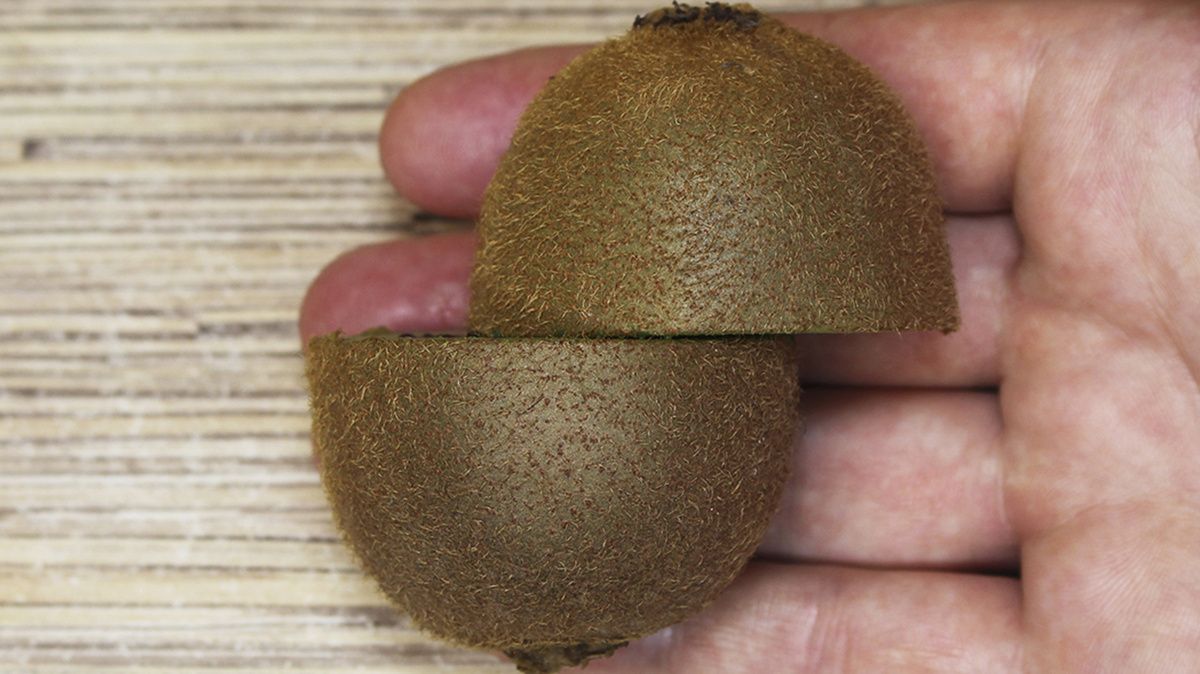 ����������� ����� "���������� ������": ������������ ��������� ��� ������ �����