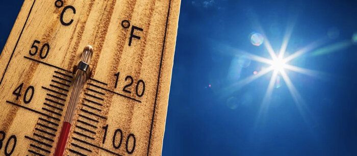 Летние сладости и простые ужины: как накормить семью в жару