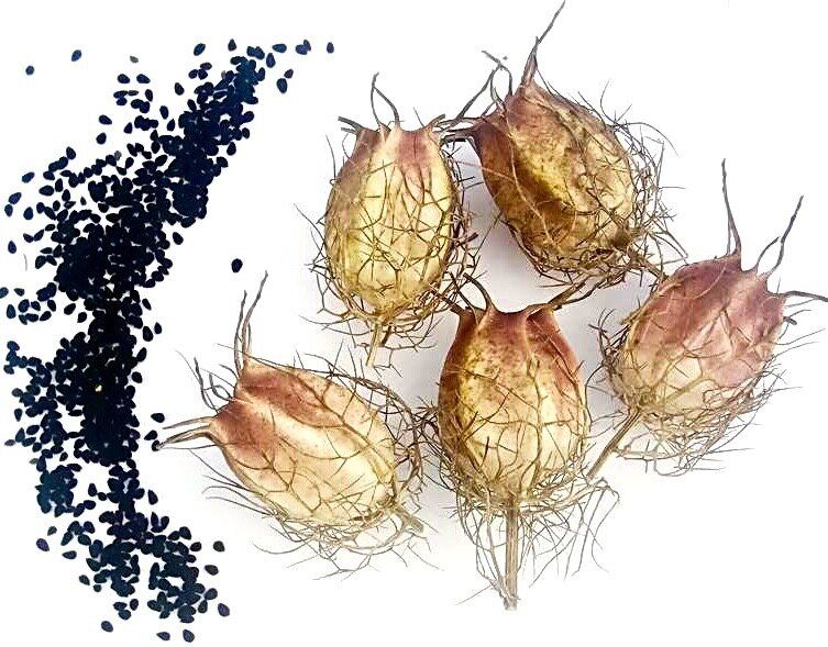 �������: ����� ������� ����� � ��� ��������� ��������