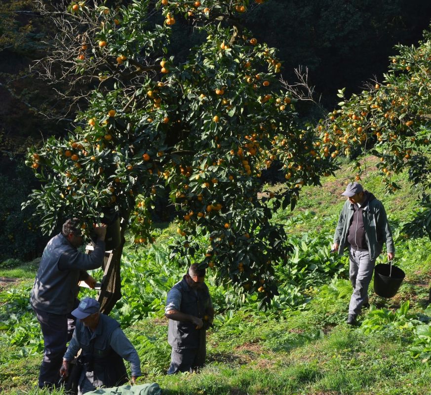 Оранжевая осень: Как доброта и традиции объединяют людей