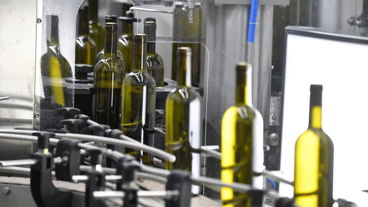 ����������� ������������� ���� �������� ����������� �������� ����� � ������