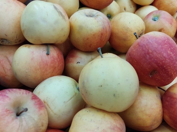 ��� ��������� �������� �� �����: ��������� ��� ��� �������