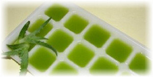 Советы по хранению алоэ в холодильнике: секреты и нюансы