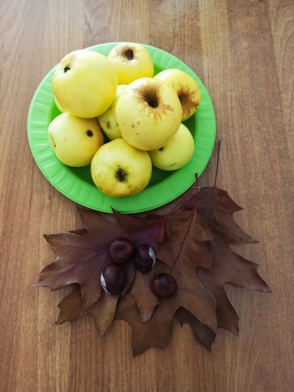 �������� �������: ������ ������ � ����� �������