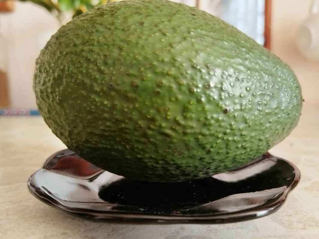 ��� ������� ��������� �������: ������ ��� ��������