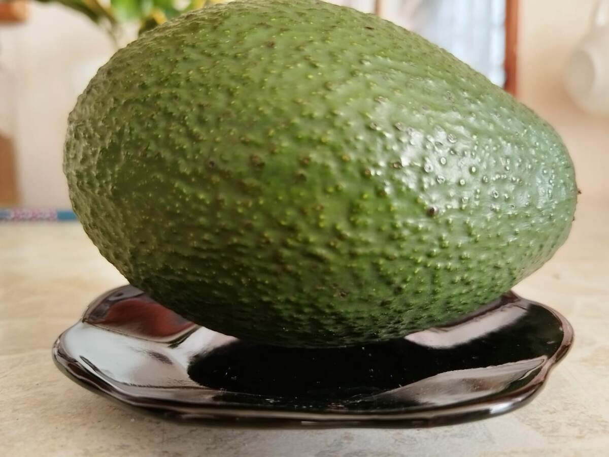 Как выбрать идеальное авокадо: советы для гурманов