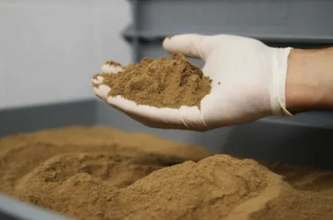 ������� ���������� ����������� ���� � ���� ������ � ����