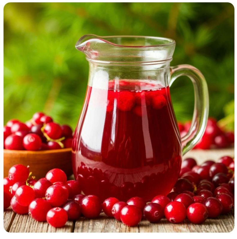 ���������� ���: ���� ������������ �������� ������ ��������