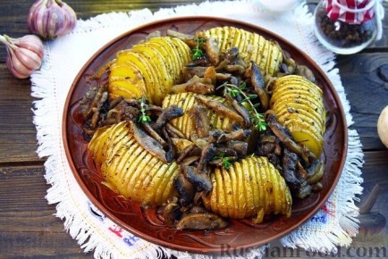 ��������������� ������������ ������� ��� ������ �����